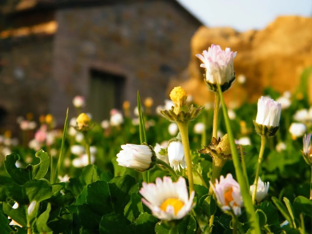 Agriturismo Montegonfoli San Gimignano